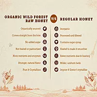 Kashmir Acacia Honey